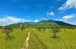  bedroom Land for sale at in Kampong Speu, Cambodia