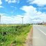  Land for sale in Samraong Tong, Kampong Speu, Voa Sar, Samraong Tong