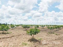 Land for sale in Tbaeng, Kampong Svay, Tbaeng