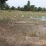  Land for sale in Kandal Stueng, Kandal, Kandaok, Kandal Stueng