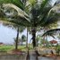  Land for sale in Koh Kong, Chrouy Svay, Srae Ambel, Koh Kong