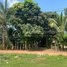  ដី for sale in ស្រុកសៀមរាប, ខេត្តសៀមរាប, សង្កាត់នគរធំ, ស្រុកសៀមរាប