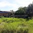  Land for sale in Siem Reap, Sala Kamreuk, Krong Siem Reap, Siem Reap