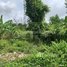  Land for sale in Chbar Ampov, Phnom Penh, Kbal Kaoh, Chbar Ampov