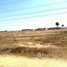  Land for sale in Praek Pnov, Phnom Penh, Kouk Roka, Praek Pnov