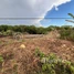  Land for sale in Ratanak Kiri, Ou Chum, Ou Chum, Ratanak Kiri