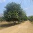  Land for sale in Kamrieng, Battambang, Boeng Reang, Kamrieng