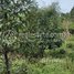  Land for sale in Mondul Kiri, Sokh Dom, Saen Monourom, Mondul Kiri