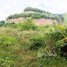  Land for sale in Kampot, Stueng Kaev, Tuek Chhou, Kampot
