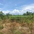  Land for sale in Pursat, Pramaoy, Veal Veaeng, Pursat