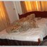 7 Bedroom House for rent in Xaysetha, Attapeu, Xaysetha