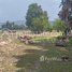  Land for sale in Pursat, Chheu Tom, Krakor, Pursat