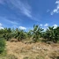  Land for sale in Phnum Proek, Battambang, Ou Rumduol, Phnum Proek