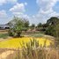  Land for sale in Kampong Thom, Trea, Stoung, Kampong Thom
