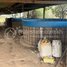  Land for sale in Prasat Bakong, Siem Reap, Kandaek, Prasat Bakong