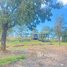  Land for sale in Mondul Kiri, Sokh Dom, Saen Monourom, Mondul Kiri