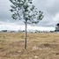  Land for sale in Mean Chey, Phnom Penh, Chak Angrae Leu, Mean Chey