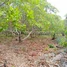  Land for sale in Kampong Thom, Boeng Lvea, Santuk, Kampong Thom