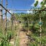  Land for sale in S'ang, Kandal, Setbou, S'ang