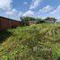  Land for sale in Krong Siem Reap, Siem Reap, Siem Reab, Krong Siem Reap