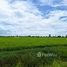  ដី for sale in ក្រុងបាត់ដំបង, ខេត្ត​បាត់ដំបង, Omal, ក្រុងបាត់ដំបង