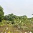  Land for sale in S'ang, Kandal, Khpob, S'ang
