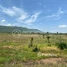  Land for sale in Pursat, Svay Sa, Krakor, Pursat