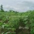  Land for sale in Preah Vihear, Kantuot, Choam Ksant, Preah Vihear