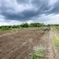  Land for sale in Rotonak Mondol, Battambang, Reaksmei Songha, Rotonak Mondol