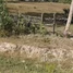  Land for sale in Kampong Speu, Chan Saen, Odongk, Kampong Speu
