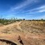  Land for sale in Kratie, Kampong Damrei, Chhloung, Kratie