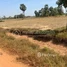  Land for sale in Takeo, Tram Kak, Tram Kak, Takeo