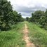  ដី for sale in ខេត្តកំពត, Srae Chaeng, Chum Kiri, ខេត្តកំពត