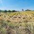  Land for sale in Choam Ksant, Preah Vihear, Sror Aem, Choam Ksant