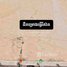  Land for sale in Ampil, Krong Siem Reap, Ampil