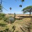  Land for sale in Kampong Thom, Trea, Stoung, Kampong Thom