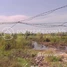 Land for sale in Krong Siem Reap, Siem Reap, Siem Reab, Krong Siem Reap