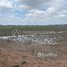  Land for sale in Angk Snuol, Kandal, Tuol Prech, Angk Snuol