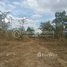  Land for sale in Mondul Kiri, Srae Sangkum, Kaoh Nheaek, Mondul Kiri