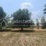  Land for sale in Kamrieng, Battambang, Boeng Reang, Kamrieng