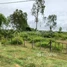  Land for sale in Chan Saen, Odongk, Chan Saen