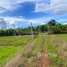  Land for sale in Kampot, Samlanh, Angkor Chey, Kampot