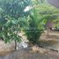  ដី for sale in កៀនស្វាយ, ខេត្តកណ្ដាល, ឃុំភូមិធំ, កៀនស្វាយ