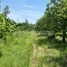  Land for sale in Kandal, Kampong Svay, Kien Svay, Kandal