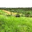  Land for sale in Kratie, Kanhchor, Chhloung, Kratie