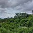  Land for sale in Stung Treng, Kbal Romeas, Sesan, Stung Treng