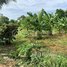  ដី for sale in កៀនស្វាយ, ខេត្តកណ្ដាល, Samraong Thum, កៀនស្វាយ