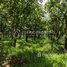  Land for sale in Kandal, Akreiy Ksatr, Lvea Aem, Kandal
