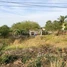 Land for sale in Batheay, Kampong Cham, Chealea, Batheay