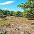  Land for sale in Kampong Cham, Preaek Bak, Stueng Trang, Kampong Cham
